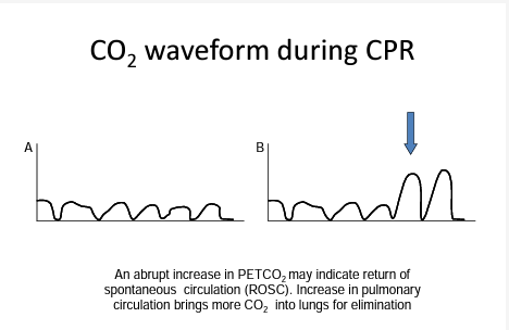 Waveform Capnography Monitoring during CPR